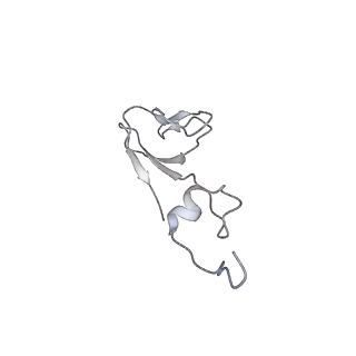 25530_7syj_c_v1-1
Structure of the HCV IRES binding to the 40S ribosomal subunit, closed conformation. Structure 4(delta dII)