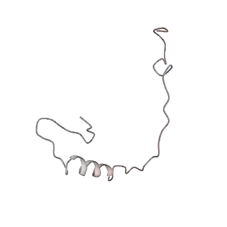 25530_7syj_f_v1-1
Structure of the HCV IRES binding to the 40S ribosomal subunit, closed conformation. Structure 4(delta dII)