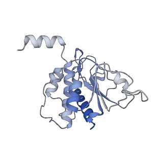 25531_7syk_B_v1-1
Structure of the HCV IRES binding to the 40S ribosomal subunit, closed conformation. Structure 5(delta dII)