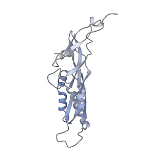 25531_7syk_C_v1-1
Structure of the HCV IRES binding to the 40S ribosomal subunit, closed conformation. Structure 5(delta dII)