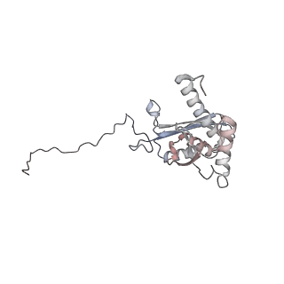 25531_7syk_E_v1-1
Structure of the HCV IRES binding to the 40S ribosomal subunit, closed conformation. Structure 5(delta dII)