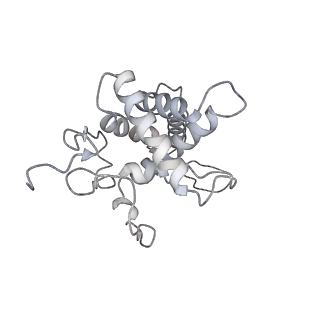 25531_7syk_G_v1-1
Structure of the HCV IRES binding to the 40S ribosomal subunit, closed conformation. Structure 5(delta dII)