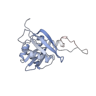 25531_7syk_I_v1-1
Structure of the HCV IRES binding to the 40S ribosomal subunit, closed conformation. Structure 5(delta dII)