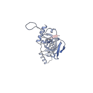 25531_7syk_J_v1-1
Structure of the HCV IRES binding to the 40S ribosomal subunit, closed conformation. Structure 5(delta dII)