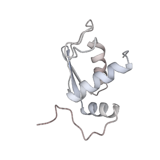 25531_7syk_L_v1-1
Structure of the HCV IRES binding to the 40S ribosomal subunit, closed conformation. Structure 5(delta dII)