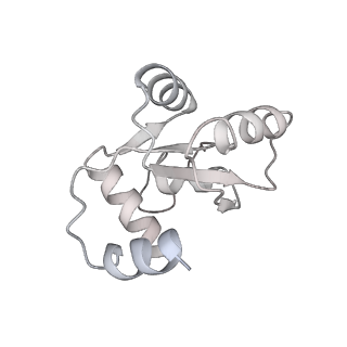 25531_7syk_N_v1-1
Structure of the HCV IRES binding to the 40S ribosomal subunit, closed conformation. Structure 5(delta dII)