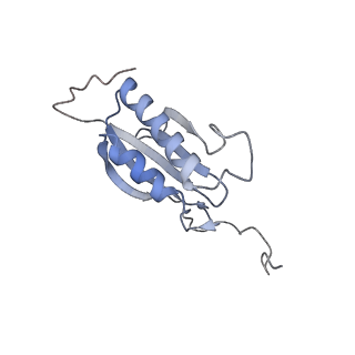 25531_7syk_P_v1-1
Structure of the HCV IRES binding to the 40S ribosomal subunit, closed conformation. Structure 5(delta dII)