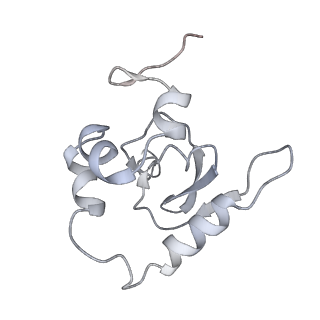 25531_7syk_Q_v1-1
Structure of the HCV IRES binding to the 40S ribosomal subunit, closed conformation. Structure 5(delta dII)