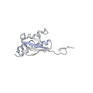 25531_7syk_R_v1-1
Structure of the HCV IRES binding to the 40S ribosomal subunit, closed conformation. Structure 5(delta dII)