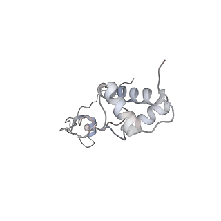 25531_7syk_S_v1-1
Structure of the HCV IRES binding to the 40S ribosomal subunit, closed conformation. Structure 5(delta dII)