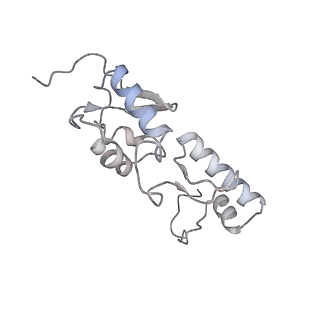 25531_7syk_T_v1-1
Structure of the HCV IRES binding to the 40S ribosomal subunit, closed conformation. Structure 5(delta dII)