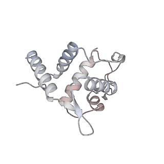 25531_7syk_U_v1-1
Structure of the HCV IRES binding to the 40S ribosomal subunit, closed conformation. Structure 5(delta dII)