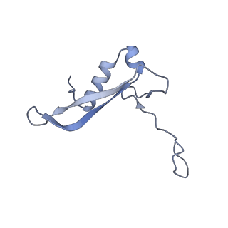 25531_7syk_W_v1-1
Structure of the HCV IRES binding to the 40S ribosomal subunit, closed conformation. Structure 5(delta dII)
