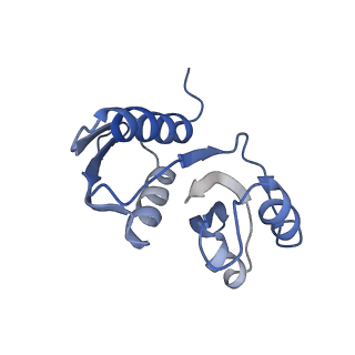 25531_7syk_X_v1-1
Structure of the HCV IRES binding to the 40S ribosomal subunit, closed conformation. Structure 5(delta dII)
