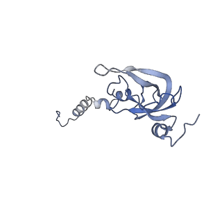 25531_7syk_Y_v1-1
Structure of the HCV IRES binding to the 40S ribosomal subunit, closed conformation. Structure 5(delta dII)