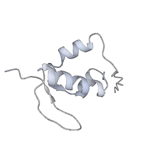25531_7syk_a_v1-1
Structure of the HCV IRES binding to the 40S ribosomal subunit, closed conformation. Structure 5(delta dII)