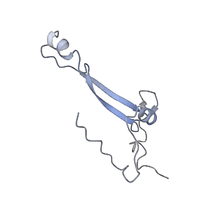 25531_7syk_b_v1-1
Structure of the HCV IRES binding to the 40S ribosomal subunit, closed conformation. Structure 5(delta dII)