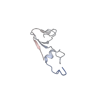 25531_7syk_c_v1-1
Structure of the HCV IRES binding to the 40S ribosomal subunit, closed conformation. Structure 5(delta dII)