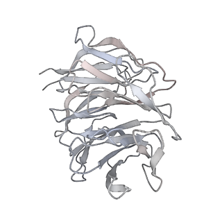 25531_7syk_h_v1-1
Structure of the HCV IRES binding to the 40S ribosomal subunit, closed conformation. Structure 5(delta dII)
