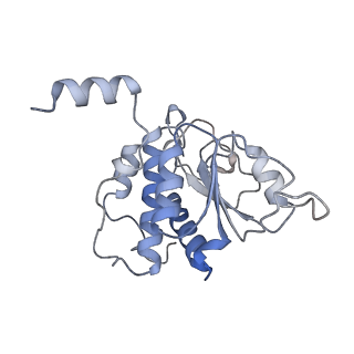 25532_7syl_B_v1-1
Structure of the HCV IRES bound to the 40S ribosomal subunit, closed conformation. Structure 6(delta dII)