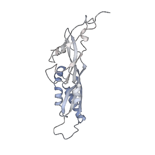 25532_7syl_C_v1-1
Structure of the HCV IRES bound to the 40S ribosomal subunit, closed conformation. Structure 6(delta dII)
