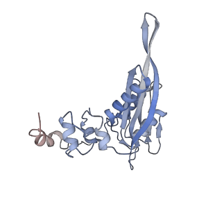25532_7syl_D_v1-1
Structure of the HCV IRES bound to the 40S ribosomal subunit, closed conformation. Structure 6(delta dII)