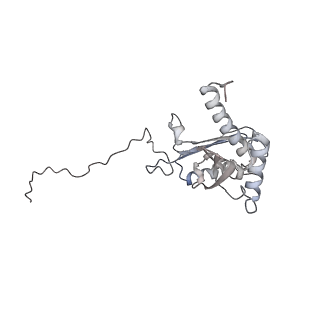25532_7syl_E_v1-1
Structure of the HCV IRES bound to the 40S ribosomal subunit, closed conformation. Structure 6(delta dII)