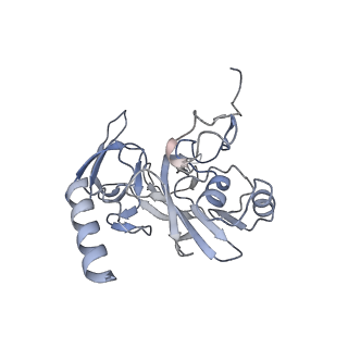 25532_7syl_F_v1-1
Structure of the HCV IRES bound to the 40S ribosomal subunit, closed conformation. Structure 6(delta dII)