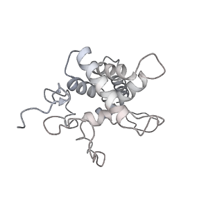 25532_7syl_G_v1-1
Structure of the HCV IRES bound to the 40S ribosomal subunit, closed conformation. Structure 6(delta dII)