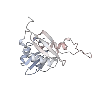 25532_7syl_I_v1-1
Structure of the HCV IRES bound to the 40S ribosomal subunit, closed conformation. Structure 6(delta dII)