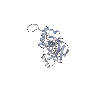 25532_7syl_J_v1-1
Structure of the HCV IRES bound to the 40S ribosomal subunit, closed conformation. Structure 6(delta dII)