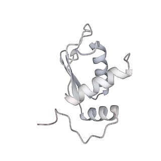 25532_7syl_L_v1-1
Structure of the HCV IRES bound to the 40S ribosomal subunit, closed conformation. Structure 6(delta dII)