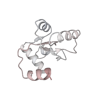 25532_7syl_N_v1-1
Structure of the HCV IRES bound to the 40S ribosomal subunit, closed conformation. Structure 6(delta dII)