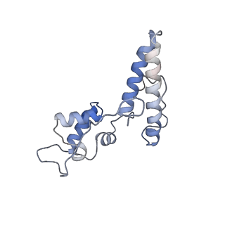 25532_7syl_O_v1-1
Structure of the HCV IRES bound to the 40S ribosomal subunit, closed conformation. Structure 6(delta dII)