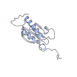 25532_7syl_P_v1-1
Structure of the HCV IRES bound to the 40S ribosomal subunit, closed conformation. Structure 6(delta dII)