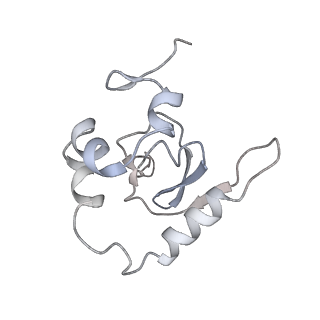 25532_7syl_Q_v1-1
Structure of the HCV IRES bound to the 40S ribosomal subunit, closed conformation. Structure 6(delta dII)