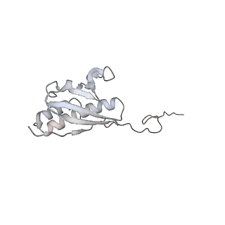 25532_7syl_R_v1-1
Structure of the HCV IRES bound to the 40S ribosomal subunit, closed conformation. Structure 6(delta dII)
