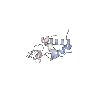 25532_7syl_S_v1-1
Structure of the HCV IRES bound to the 40S ribosomal subunit, closed conformation. Structure 6(delta dII)