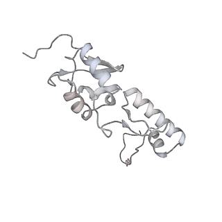 25532_7syl_T_v1-1
Structure of the HCV IRES bound to the 40S ribosomal subunit, closed conformation. Structure 6(delta dII)