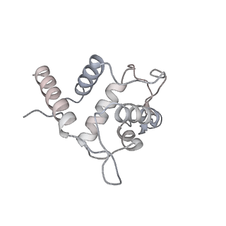 25532_7syl_U_v1-1
Structure of the HCV IRES bound to the 40S ribosomal subunit, closed conformation. Structure 6(delta dII)