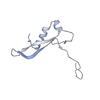 25532_7syl_W_v1-1
Structure of the HCV IRES bound to the 40S ribosomal subunit, closed conformation. Structure 6(delta dII)