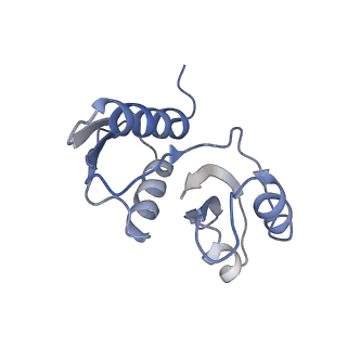 25532_7syl_X_v1-1
Structure of the HCV IRES bound to the 40S ribosomal subunit, closed conformation. Structure 6(delta dII)