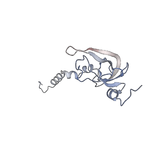 25532_7syl_Y_v1-1
Structure of the HCV IRES bound to the 40S ribosomal subunit, closed conformation. Structure 6(delta dII)