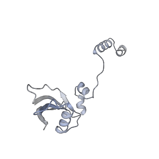 25532_7syl_Z_v1-1
Structure of the HCV IRES bound to the 40S ribosomal subunit, closed conformation. Structure 6(delta dII)