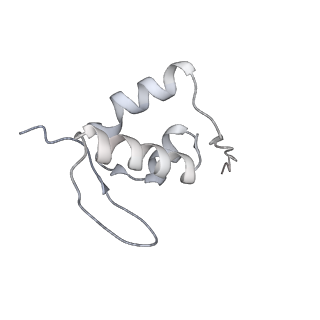 25532_7syl_a_v1-1
Structure of the HCV IRES bound to the 40S ribosomal subunit, closed conformation. Structure 6(delta dII)