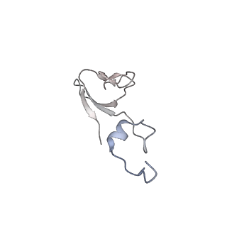 25532_7syl_c_v1-1
Structure of the HCV IRES bound to the 40S ribosomal subunit, closed conformation. Structure 6(delta dII)