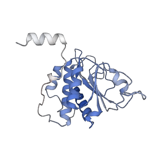 25533_7sym_B_v1-0
Structure of the HCV IRES bound to the 40S ribosomal subunit, head opening. Structure 7(delta dII)