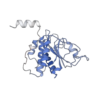 25533_7sym_B_v1-1
Structure of the HCV IRES bound to the 40S ribosomal subunit, head opening. Structure 7(delta dII)