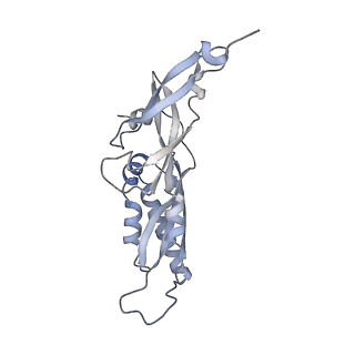 25533_7sym_C_v1-0
Structure of the HCV IRES bound to the 40S ribosomal subunit, head opening. Structure 7(delta dII)