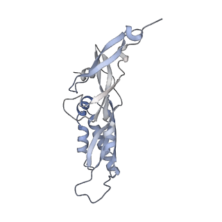 25533_7sym_C_v1-1
Structure of the HCV IRES bound to the 40S ribosomal subunit, head opening. Structure 7(delta dII)